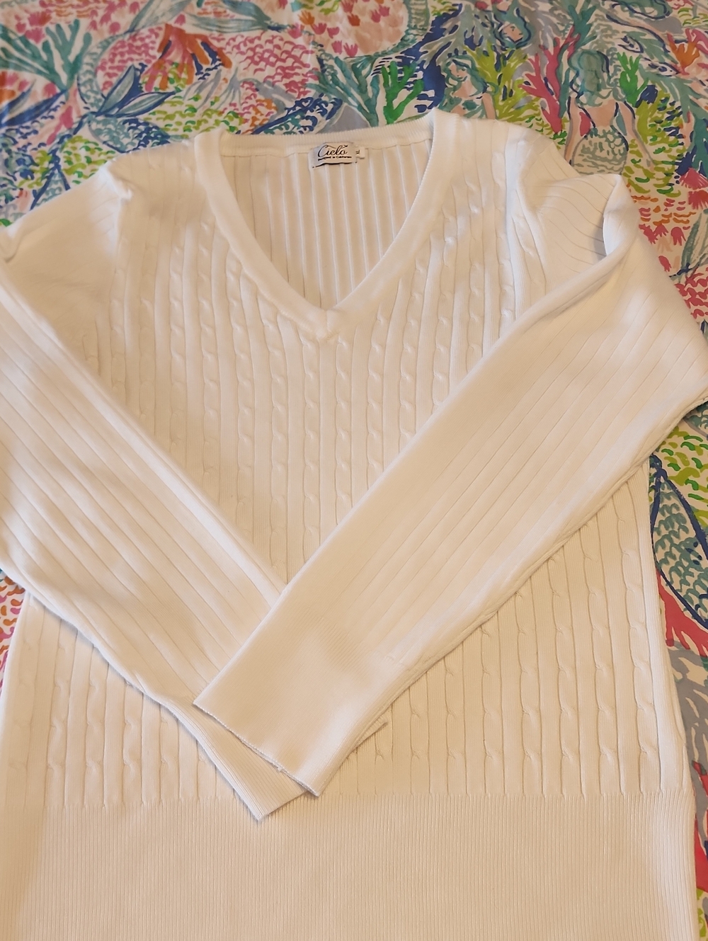 CIELO Cream Cable-Knit Long Sleeve V-Neck Sweater. Just As Soft as It Looks